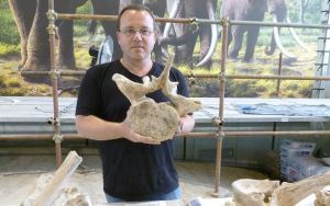 Smaller prey, not bigger brains, drove prehistoric tech revolution, Israeli researchers say
