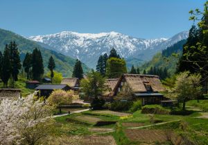 Japan's 2030 goal of 60 mil foreign visitors hinges on regional tourism