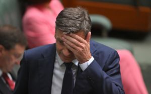 Angus Taylor may have just created half a million new Labor voters