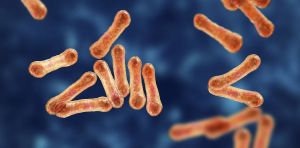 Australia is battling its worst diphtheria outbreak in decades. But vaccines could curb it