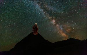 What Counts? (Naso, Covenant & Conversation)