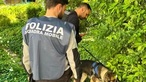 Correggio, casolare dello spaccio trovato a Lemizzone