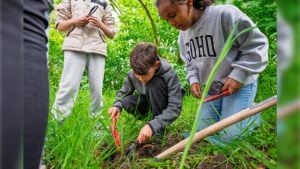 Hoe schooltuinen kinderen verbinden met de natuur. ‘Even lekker naar buiten tussen de lessen door’