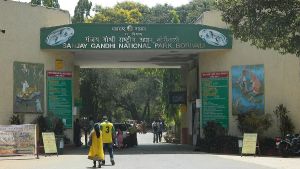 Construction Inside SGNP Will Mark Beginning Of The End Of Mumbai’s Protected Green Cover