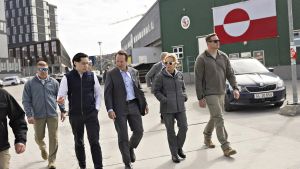 Ud med dem