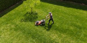 Mowing the lawn: the colonial ghosts haunting our suburban ritual