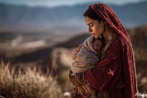 Suffering’s Reward (Naso)