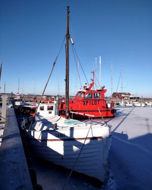 Across the Øresund: Meeting Elisabeth, Walking Copenhagen with Bente (Part Two)