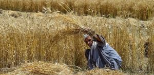 Reforms Need Discipline: Markets Cannot Replace Institutions Through Notification Alone