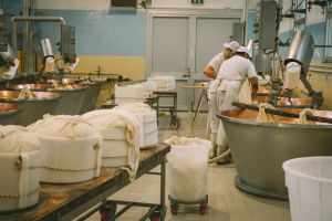 Al via “Filiere di Puglia”, il bando da 40 milioni per trasformare e valorizzare le produzioni agricole