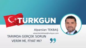 Tarımda gerçek sorun verim mi, fiyat mı?