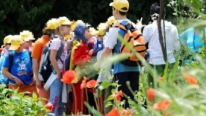 Estate in città, ma senza annoiarsi: dai campus in inglese al circo nel verde, Firenze offre tantissimi centri estivi
