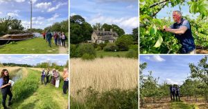 Picturesque Broads farm showcases its apple and holly crops - and new reservoir