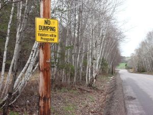 CHEERS AND JEERS: Jeers to illegal dumpers in P.E.I.