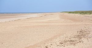 Bomb squad called to beach after suspicious items found