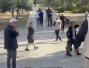 Police arrest 13 for trying to carry out sacrifice on Temple Mount to mark Shavuot