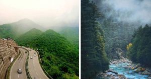8 Scenic Forest Road Trips Near Mumbai, Bengaluru & Delhi That Feel Straight Out of a Dream
