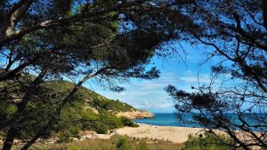 El lugar de la Costa Daurada donde aterrizó el autor de El Principito