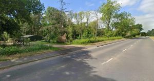 Village woodland could host new glamping site