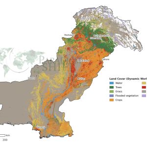 Pakistan Physical Map – Land Cover & Vegetation