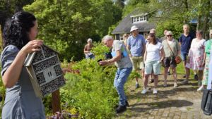 Waarom trekt de ene bloem hommels aan en de andere vlinders? Kris laat het op haar erf zien