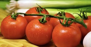 Honesty at the Table: Nourishing the Mind, Body, and Soul