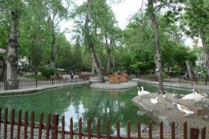 Denizi olmayan şehrin gizli amiralleri ve Kuğulu Park paradoksu