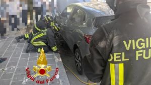 “Sento un miagolio”: due gattini incastrati nel motore dell’auto. La mobilitazione dei passanti e il salvataggio dei vigili del fuoco