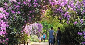 National Trust sites to explore when you’re looking for things to do in Norfolk