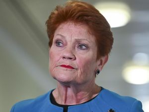 Bolt: People freaking out over One Nation need a mirror