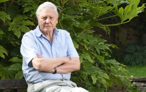 Why have we not heeded Attenborough’s warnings?