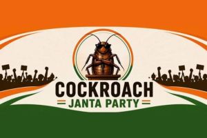 Understanding the Cockroach Movement