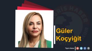 Koltukların Gölgesinde Kaybolan Siyaset