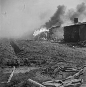 The Camps After Liberation: Catastrophe Still Unfolding