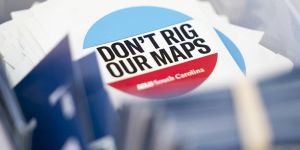 Whose Vote Will Count in America’s Midterms?