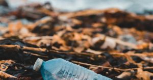 How Microplastics May Be Threatening Women's Sexual Health
