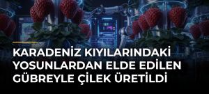 Karadeniz Kıyılarındaki Yosunlardan Elde Edilen Gübreyle Çilek Üretildi
