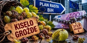 Cijena kiselog grožđa