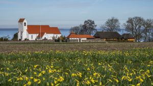 Provst: Sognet har mistet sin betydning. Folk vælger kirke som de vælger supermarked