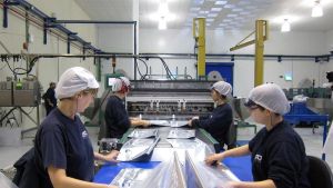 El 20% de trabajadores con horario rotativo toma hipnóticos para dormir: 