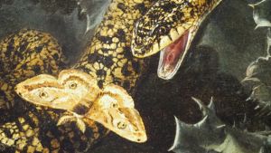 Kan die vermaledijde slang wel spreken? Nee, zegt de dominee, Genesis 3 is een ‘profetische vertelling’