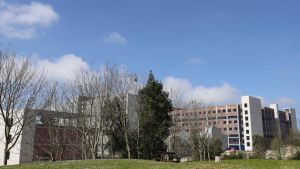 Un nuevo varapalo judicial contra las constructoras de la ampliación de Cabueñes ratifica una multa histórica de 2,6 millones de euros