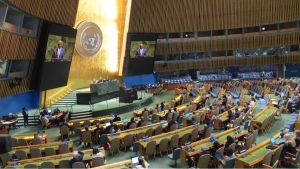 Relatori speciali. Paladini dei diritti, pappagalli delle dittature. Un rapporto sui “gioielli dell’Onu”