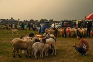 Inside Kashmir’s Arafah Economy