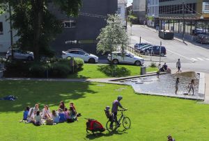 Hvorfor har Haugesund så få barn?