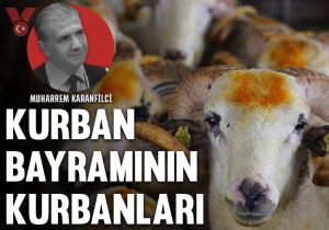 Kurban Bayramının kurbanları