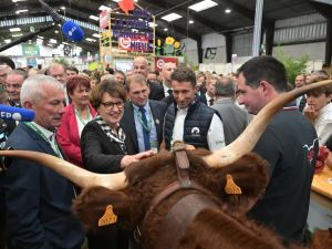 Voynet et la viande espagnole, Genevard et la tomate cerise : l’agriculture est devenue un produit politique !