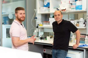 In a world first, Israeli scientists find ‘memory’ B cells can target ovarian tumors