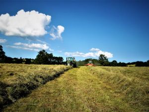 Pour les écologistes, le paysan est devenu un « produit » politique !