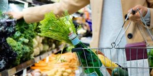Fighter jets or affordable food – are public grocery stores really a thing!